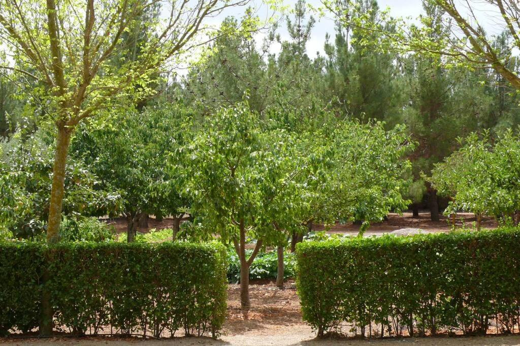 Casa En El Campo Con Encanto Almansa Exteriér fotografie