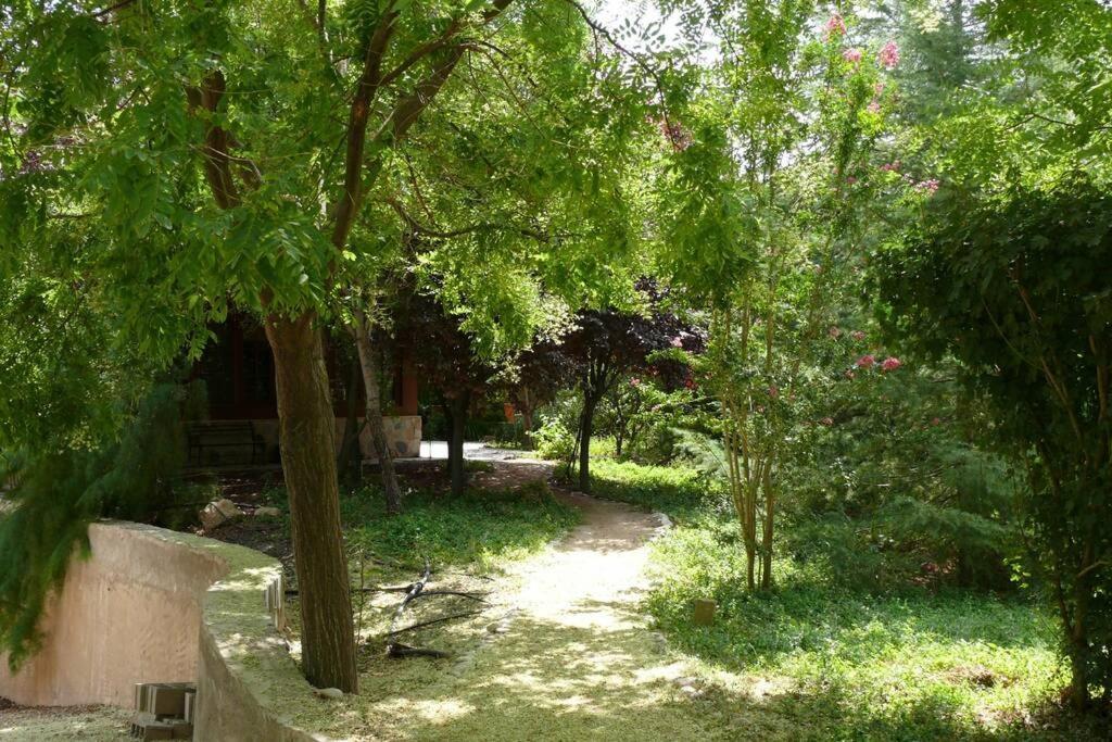 Casa En El Campo Con Encanto Almansa Exteriér fotografie