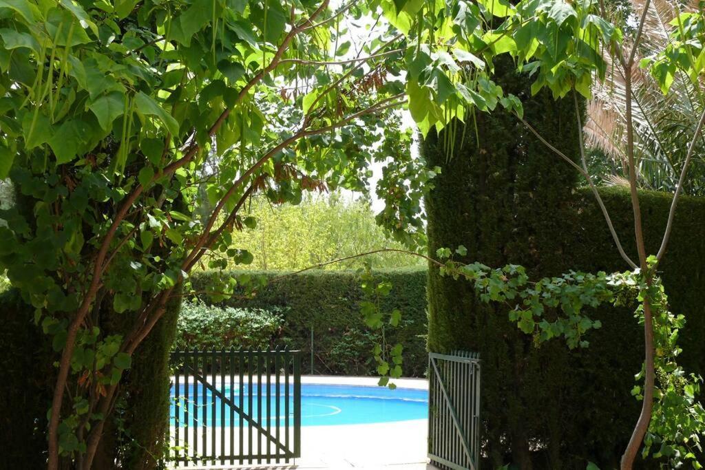 Casa En El Campo Con Encanto Almansa Exteriér fotografie